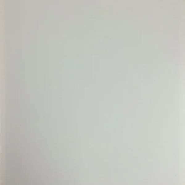 matt white ceiling pvc panels